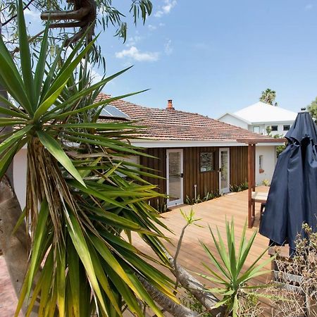 Dingo At White Gum Lodge Fremantle Buitenkant foto